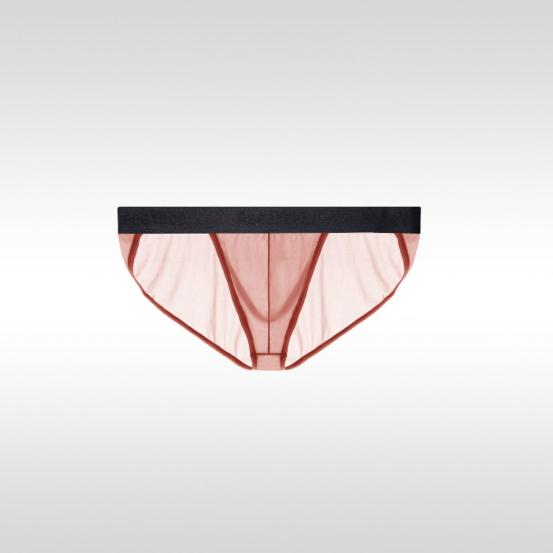 Low-Waist U-Convex Large Pouch Sexy Ice Silk Ultra-Thin Briefs